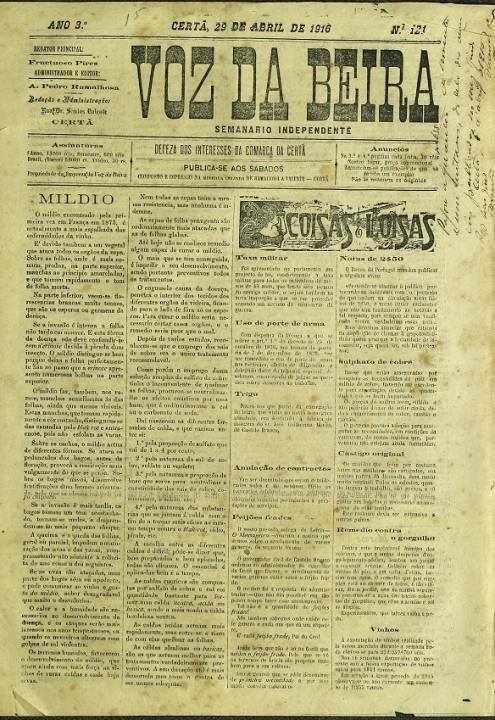 Voz Da Beira Nº121 29 04 1916 P