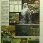 Expresso Do Pinhal Nº231 28 02 2007 P Suplemento