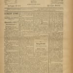 Campeão Do Zezere Nº17 24 05 1891 P