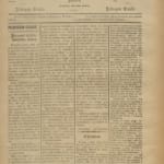 Campeão Do Zezere Nº23 13 11 1891 P